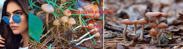 молекула духа Абдулино