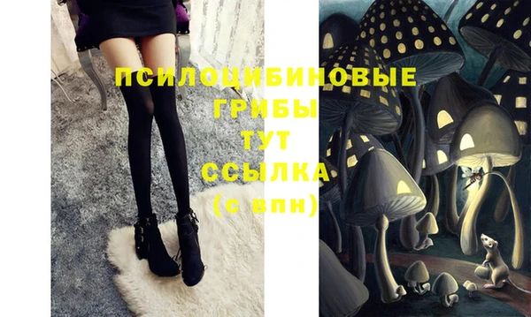 спайс Абинск