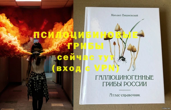 спайс Абинск