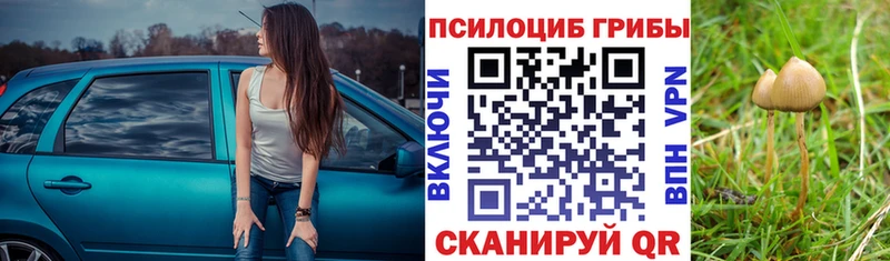 мега как зайти  Калининград  Псилоцибиновые грибы мицелий 